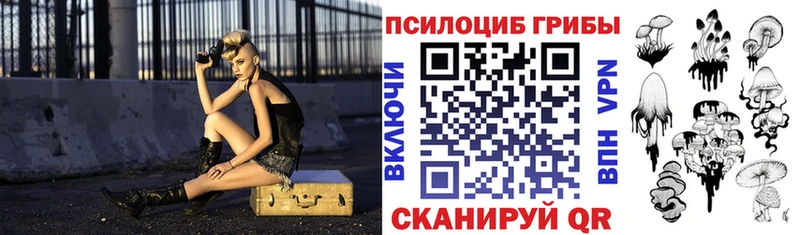 купить закладку  Калач-на-Дону  Псилоцибиновые грибы ЛСД 