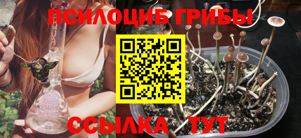 Псилоцибиновые грибы GOLDEN TEACHER  Вход с VPN  Калач-на-Дону  Псилоцибиновые грибы GOLDEN TEACHER 