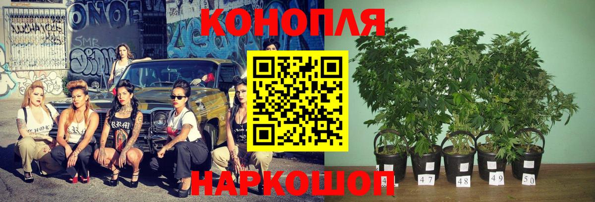 Конопля VHQ Калач-на-Дону